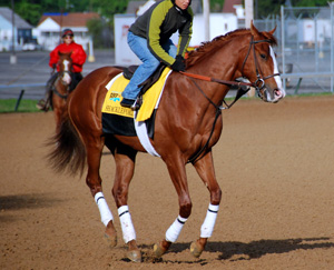 Preakness Stakes winner Shackleford ends Animal Kingdom's bid for